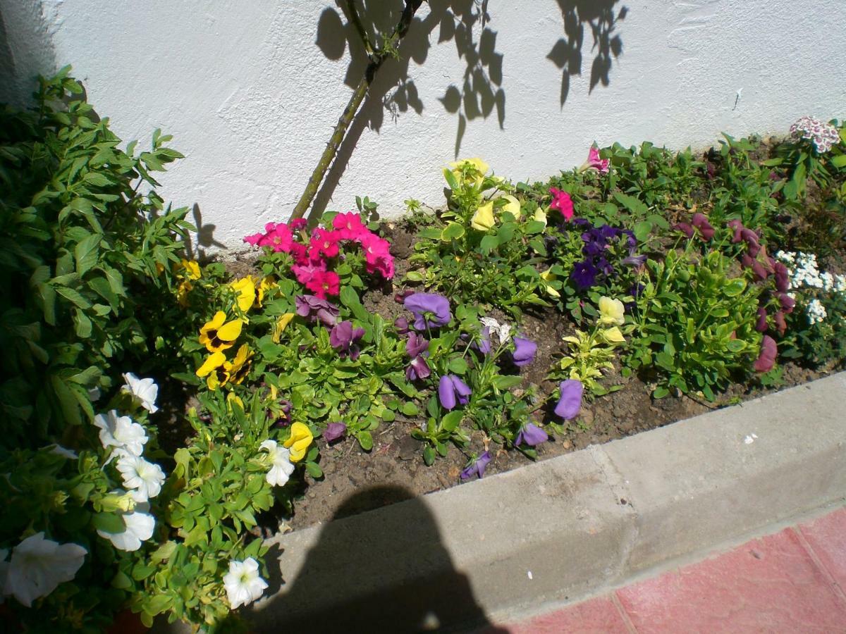 Alojamiento Rural Sierra Luz Ribatajadilla ภายนอก รูปภาพ